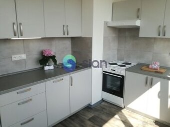 Podnájem bytu 1+1 36 m2, ul. Dr. Martínka 1157/53, Ostrava - - 1