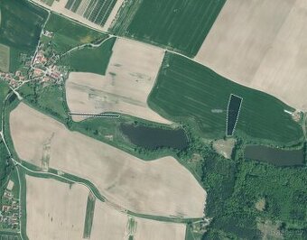 Zemědělská půda, prodej, Kluky, Písek