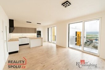 Pronájem, byty/4+kk, 88.1 m2, Veslařská 956/6, Litice, 32100