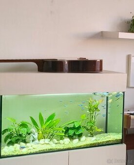 Akvárium 106 x 38cm