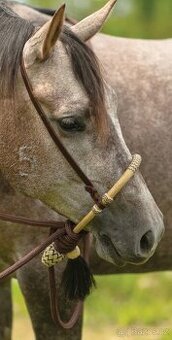 Bosal s mecaté - 1