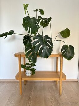 Ikea Stockholm stolek z masivu