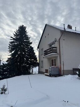 Pronajmu garsonku v Horní Čermné