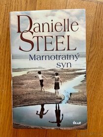 Kniha, Marnotratný syn, Danielle Steel