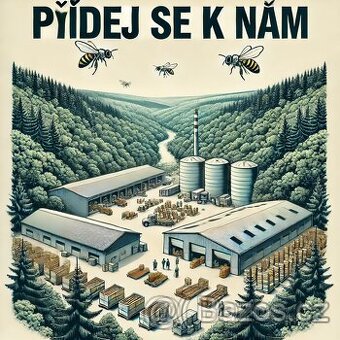 Chráněná dílna práce pro každého