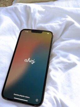 Iphone pro max 13 256GB
