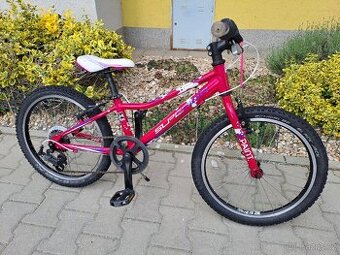 PĚKNÉ DÍVČÍ KOLO SUPERIOR PAINT XC20