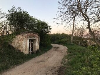 Vinný sklep Znojmo /Konice u Znojma/