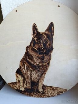 Vypalování do dřeva ,prkénka, překližka (pyrografie)