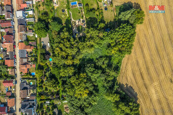 Prodej lesa, 10056 m², Kostelec nad Labem