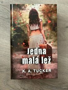 Knížka Jedna malá lež - 1
