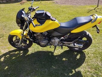 Honda Hornet 600
