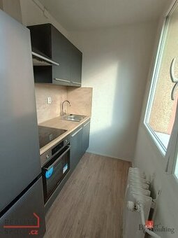 Pronájem, byty/1+1, 21 m2, K. H. Borovského 138/19, 43401 Mo