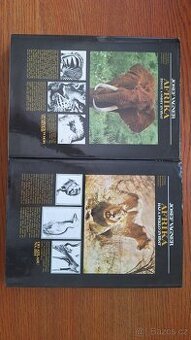 Jozef Wagner  AFRIKA