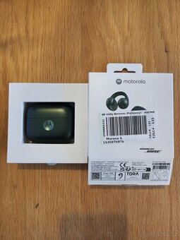 Motorola Moto Buds Loop