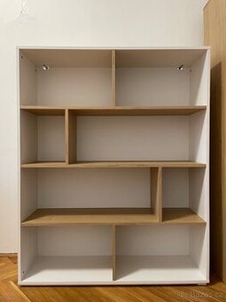 Knihovna (regál,dělící stěna)