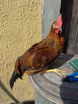 Kouhouti