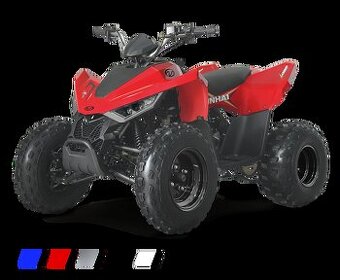 dětská čtyřkolka Linhai ATV 110 2x4
