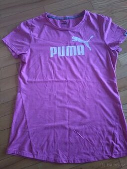 Třicko Puma - 1