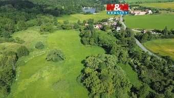 Prodej pastviny, 13461 m², Spálené Poříčí
