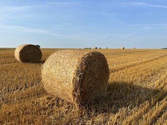 Baliky slama i seno - vyprodáno
