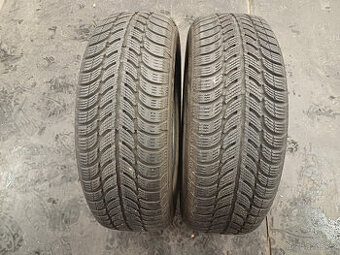 Zimní pneu Sava 195/65/15 91T