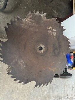 Hanibalka - kotouč na pilu