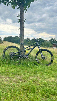 Canyon Torque