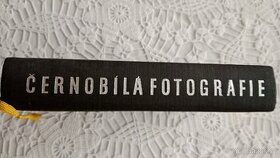 fotografování