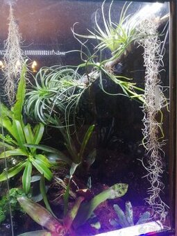 Terarium/paludarium