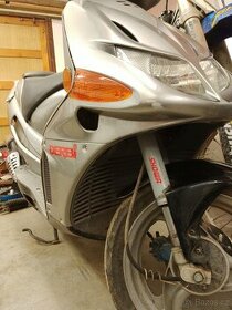 Derbi Predator 50 - 1