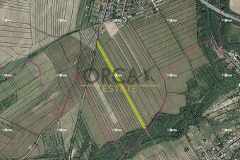 0,46 ha pozemku v k.ú. Skoky u Staměřic - 1