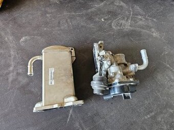 Vw t5.1 egr ventil VALEO - 1