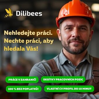 Zednické práce 1.200.000,- / Netto / Ročně