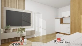 Prodej, byty/2+1, 51.4 m2, Řeháčkova 110/2, Předlice, 40001 