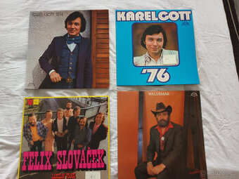 Vinylové LP české