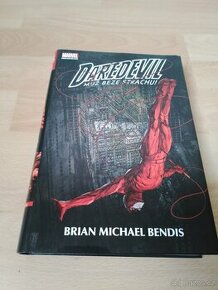 Daredevil: Muž beze strachu: Omnibus: Kniha první