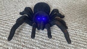 Děsivá tarantule - 1