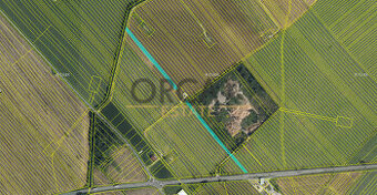 0,1 ha orné půdy v k.ú. Moravská Nová Ves