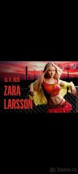 Vstupenky Zara Larsson