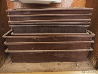 Prodám plastové truhlíky - LEVNĚ