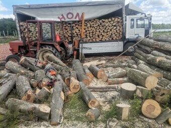 Akce - levné palivové dřevo Krnov, Bruntál, Rýmářov, Opava