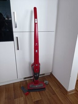 Tyčový vysavač Electrolux Ergorapido animal