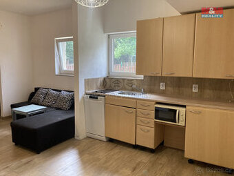 Pronájem bytu 2+kk, 45 m², Ves Touškov - 1