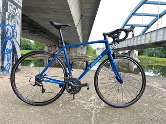 TREK Domane AL 2