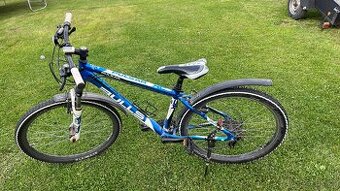 Bulls Pulsar