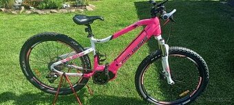 Crussis E-Guera 7.6