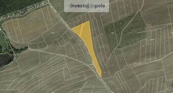 Prodej podílu 1/3 pole 5 637 m², Kralovice