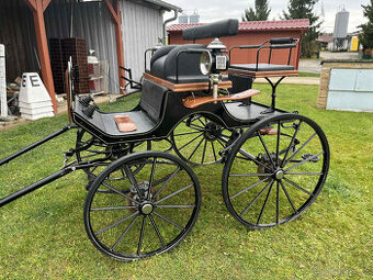 Prodám drezurní kočár Aron