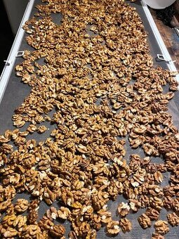 Vlašské ořechy loupané,sušené